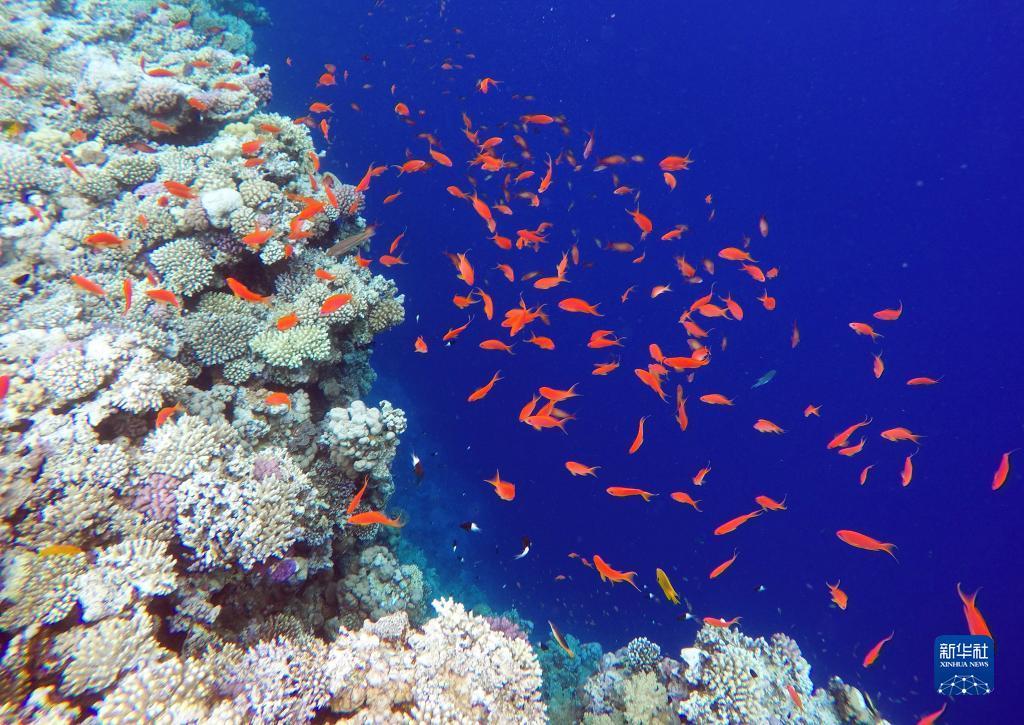 百博博海论坛